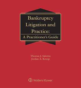 Bankruptcy Litigation And Practice A Practitioner S Guide