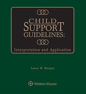 Child Support Guidelines: Interpretation and Application, Second Edition